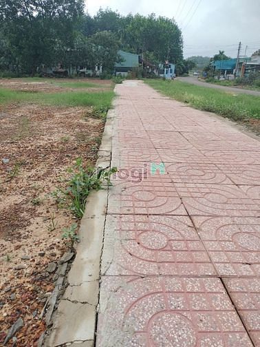 Hình ảnh HOT ! Khách ký gửi lô đất ở Đồng Phú - Bình Phước DT 200m2 Giá 700tr