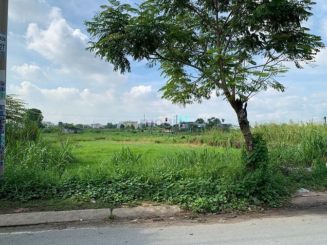 Hình ảnh Bán đất giá rẻ đối diện trường TH Bùi Văn Ngữ xã Bà Điểm, Hóc Môn.
