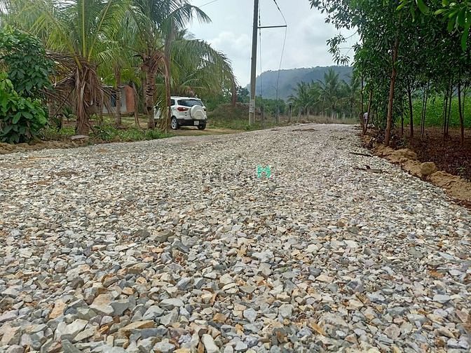 Hình ảnh Bán Đất 2MT (9000m2)- 500k/m2 Tân Phúc Hàm Tân Bình Thuận