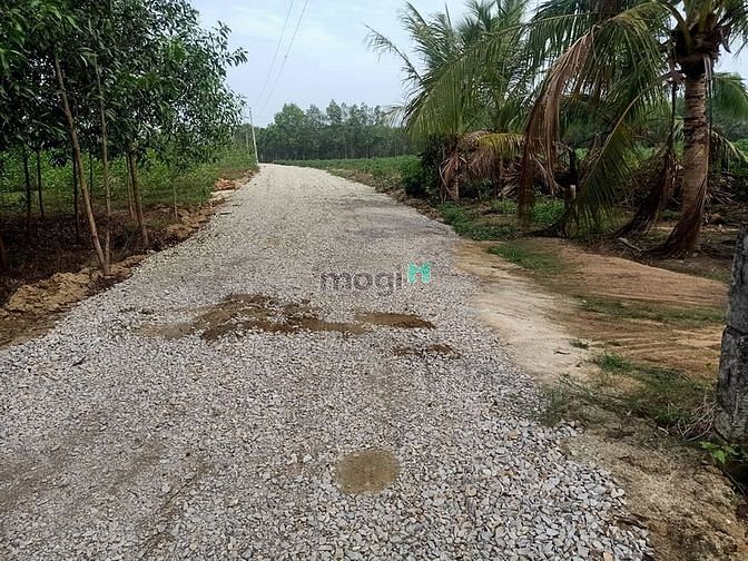 Hình ảnh Bán Đất 2MT (9000m2)- 500k/m2 Tân Phúc Hàm Tân Bình Thuận