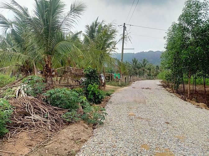 Hình ảnh Bán Đất 2MT (9000m2)- 500k/m2 Tân Phúc Hàm Tân Bình Thuận