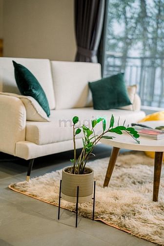 Hình ảnh Garden Suite - Lặng yên cùng những tâm hồn đồng điệu
