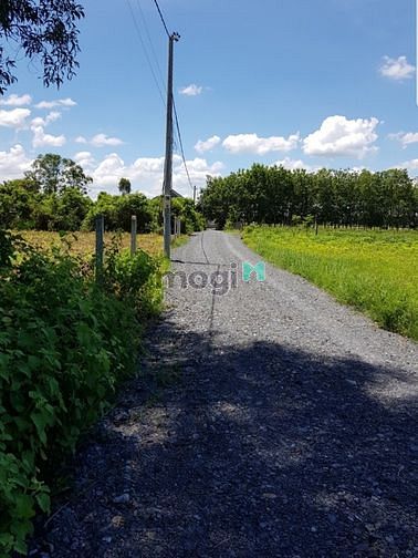 Hình ảnh bán đất Xã Trung Lập Thượng,Huyện Củ Chi- MIỄN QC