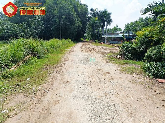 Hình ảnh Bán đất đường võ thị mẹo - 940m2 - 32.9x31 - 300m2 thổ cư - xã phú mỹ