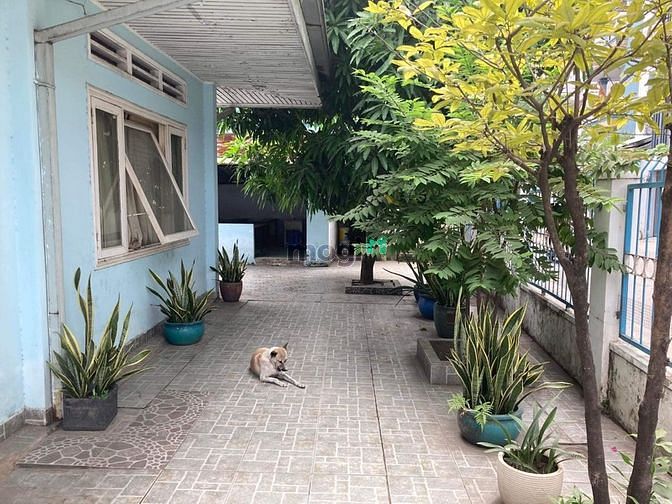 Hình ảnh ✅ Thửa đất Trần Não Quận 2 - 619m2 chỉ 169 tỷ