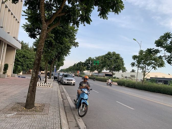 Hình ảnh Mặt phố cực hiếm Vũ Đức Thuận, Văn phòng, Kinh doanh, Tòa nhà