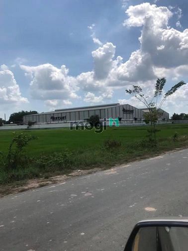 Hình ảnh Đất mặt Tiền Tỉnh Lộ 8 - Tân An Hội Củ Chi 106000m2 chỉ 2.4tr 1m2