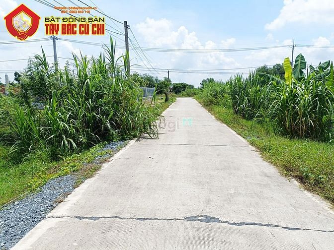 Hình ảnh Bán đất đường 646 - 418m2 - 15x35 - 277m2 thổ cư - xã phước thạnh -