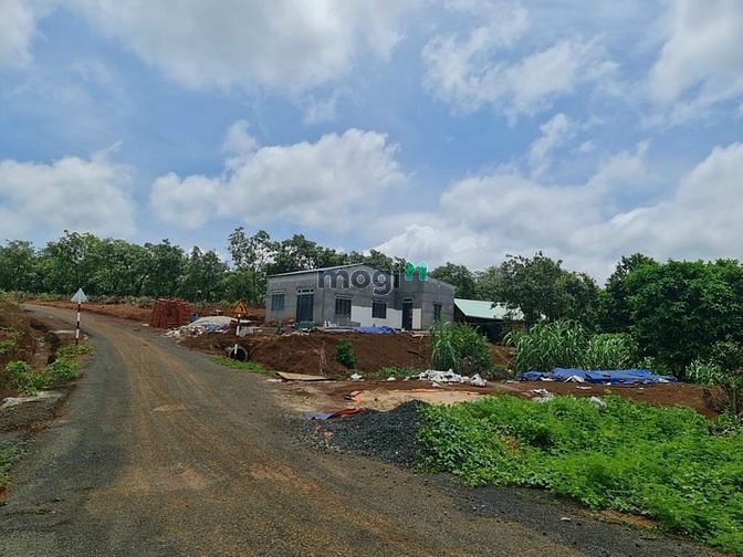 Hình ảnh Chính chủ bán lô đất Tân Hưng - Đồng Phú . 100% phủ hồng