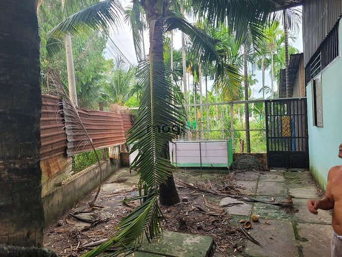 Hình ảnh Cho thuê kho xưởng Thạnh lộc gần chợ đường