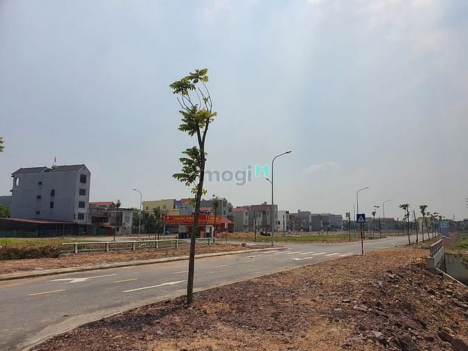 Hình ảnh Bán đất Thành Phố Bắc Giang