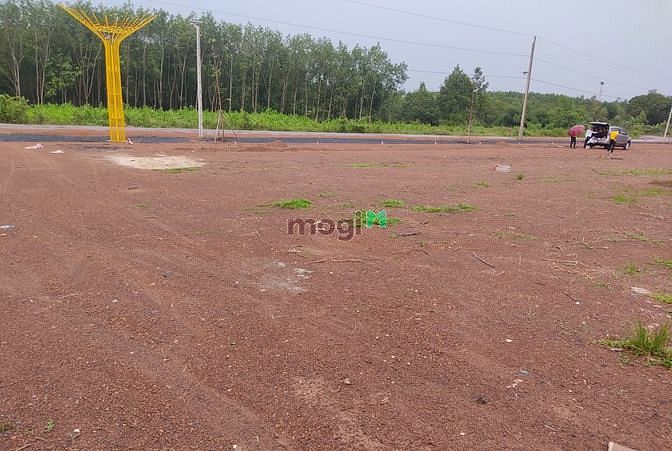 Hình ảnh Đất đường nhựa 29m, sổ hồng, thổ cư tại Đồng Phú Bình Phước