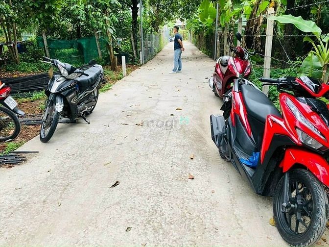 Hình ảnh bán đất bình nhâm đương oto tới đất