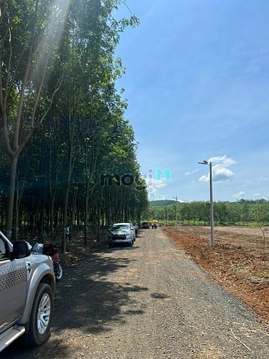 Hình ảnh Đất nền Trung Tâm Hành Chính Đồng Phú Giá Rẻ
