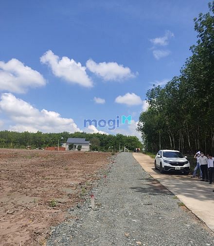 Hình ảnh Đất KCN Tân Quan Hớn Quản, 5x40, sổ hồng