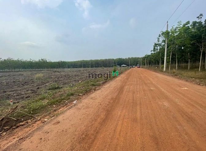 Hình ảnh Đất ĐT756 Minh Lập Chơn Thành, Sổ Hồng, Giá Rẻ