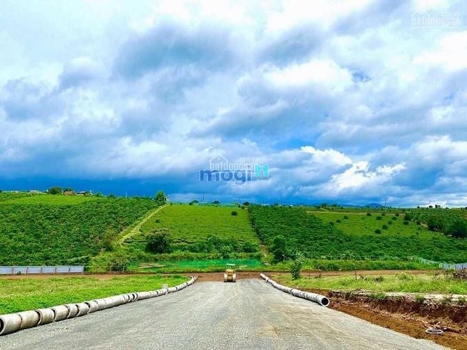 Hình ảnh Bán đất nền nghĩ dưỡng có thổ cư, view đồi của TP. Bảo Lộc, 690TR