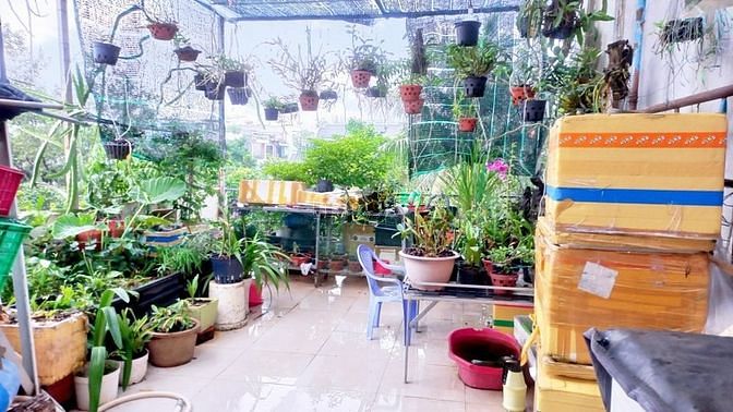 Hình ảnh Cô Ba đi tu bán nhà hẻm xe hơi 56m2 3PN khu vip nhất đường 2 quận 9