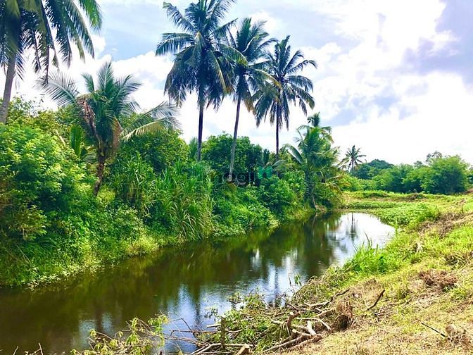 Hình ảnh 2 sào đất xã gia canh, định quán, đồng nai