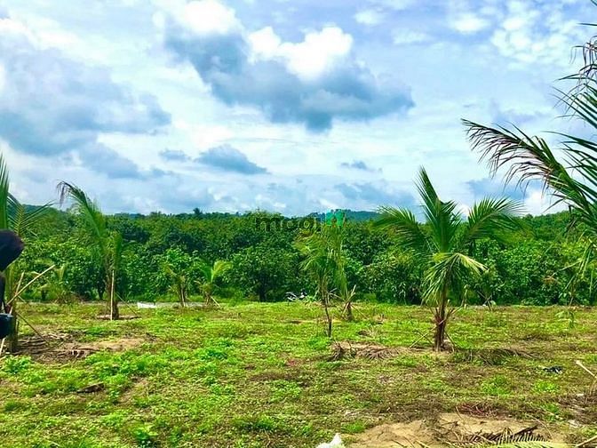 Hình ảnh 2 sào đất xã gia canh, định quán, đồng nai