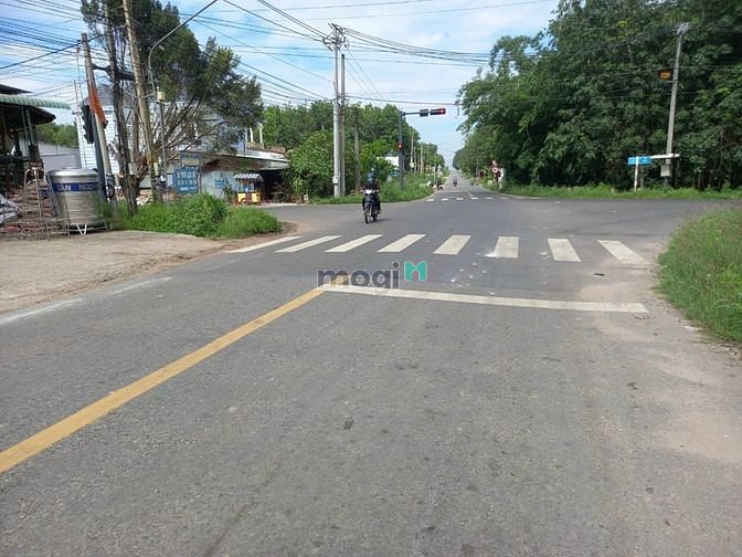 Hình ảnh Bán đất MT DT749D, Long Tân, Dầu Tiếng, DT:5x41, TC100m2, SHR, 1,55 tỷ