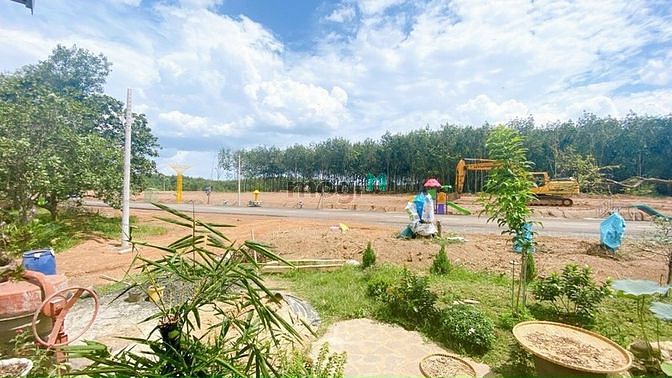 Hình ảnh Đất Đồng Tiến Đồng Phú, Sổ Hồng, Thổ Cư, Giá Rẻ