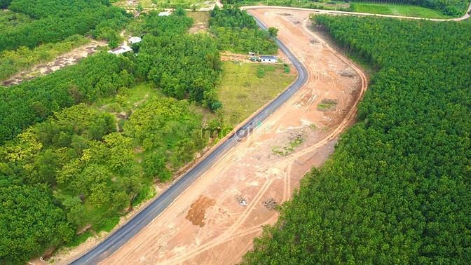 Hình ảnh Đất Đồng Tiến Đồng Phú, Sổ Hồng, Thổ Cư, Giá Rẻ