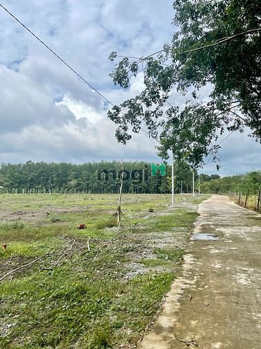 Hình ảnh Đất Nền Quang Minh Chơn Thành Bình Phước