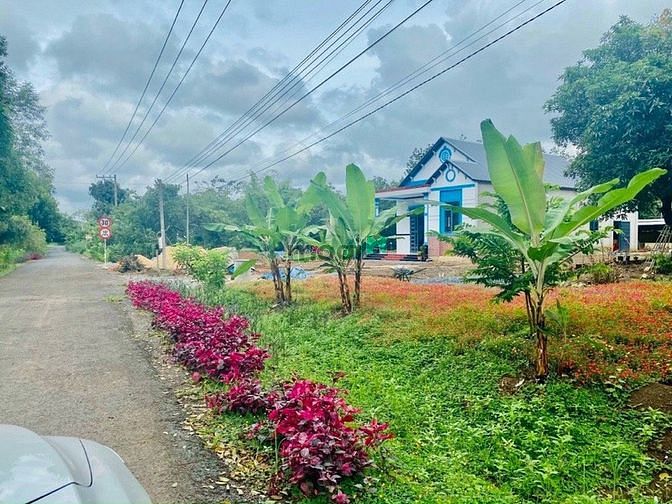 Hình ảnh Bán Đất Nền Lộc Thịnh - Lộc Ninh - Bình Phước