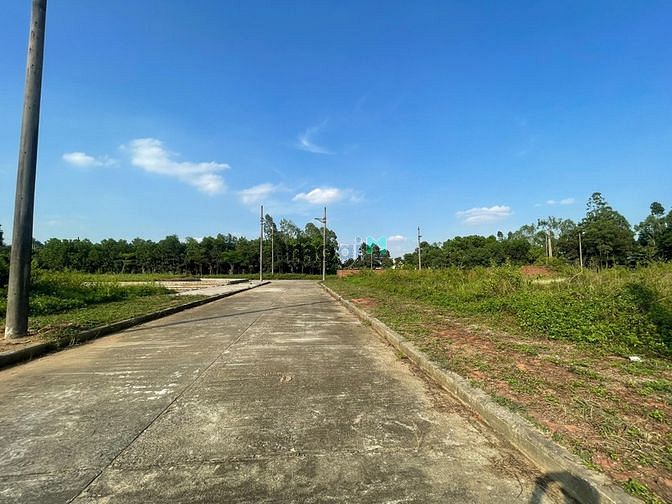 Hình ảnh Linh Sơn Nơi Đem Lại Bình Yên Cho Bạn