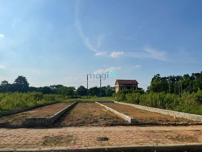 Hình ảnh Linh Sơn Nơi Đem Lại Bình Yên Cho Bạn