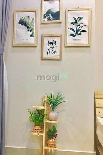 Hình ảnh Chỉ 13.5tr Có ngay căn Hộ Richstar Khu 1. Cao cấp