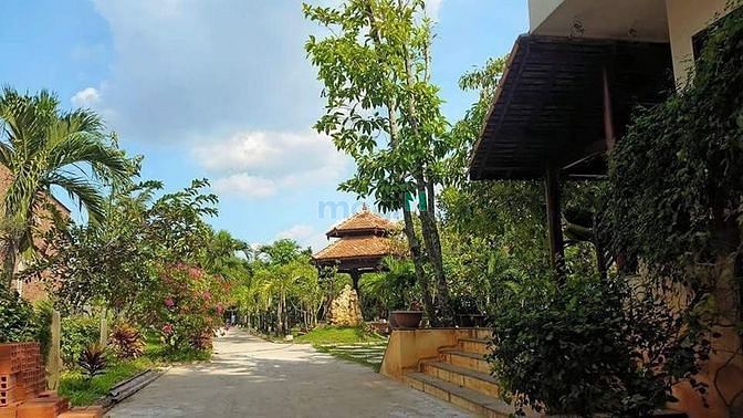 Hình ảnh Đất Mặt Tiền Bình Mỹ Củ Chi 70m x100m-7000m2 Chỉ 70 Tỷ