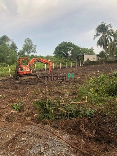 Hình ảnh 1000m2 Đất Cây Lâu Năm, Quy HOạch Dân CƯ Hiện Hữu ,Sát MT Võ Thị Bích
