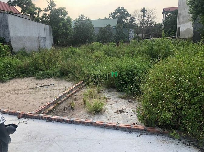 Hình ảnh Bán lô đất 70.2m Phả Lê, Việt Hưng, Văn Lâm