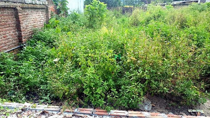 Hình ảnh Bán lô đất 70.2m Phả Lê, Việt Hưng, Văn Lâm
