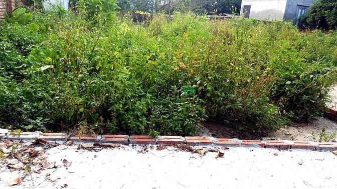 Hình ảnh Bán lô đất 70.2m Phả Lê, Việt Hưng, Văn Lâm