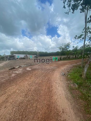 Hình ảnh Bán đất TT.Dầu Tiếng, Bình Dương, DT:63x29, SHR, giá 2,5 tỷ
