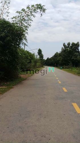 Hình ảnh Bán đất MTĐH508, Phước Sang, Phú Giáo, DT:5x73, TC100m2, SHR, 1,380 tỷ