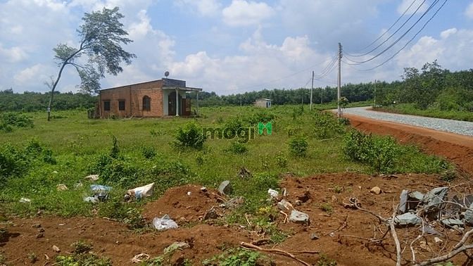 Hình ảnh Đất đường nhựa, sổ hồng, 225m2 giá 650