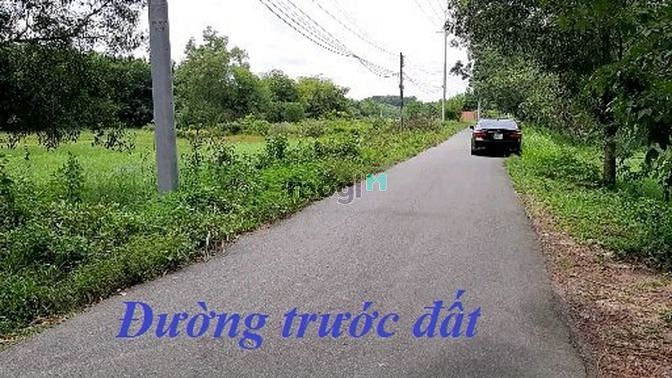 Hình ảnh Củ Chi, 2 mặt tiền đường Phú Hiệp, đất thổ DT 130x60m 7842m2.