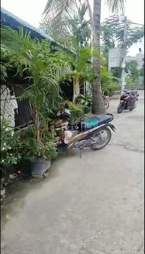 Hình ảnh Cho thuê nhà cấp 4 ở Đường Bình Mỹ, Củ Chi.
