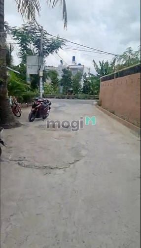 Hình ảnh Cho thuê nhà cấp 4 ở Đường Bình Mỹ, Củ Chi.