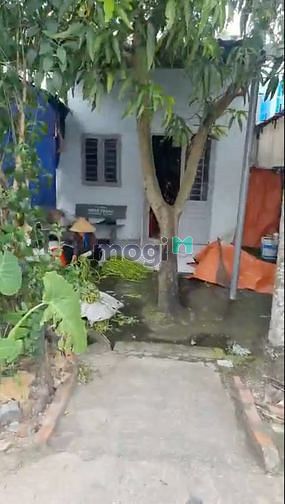 Hình ảnh Cho thuê nhà cấp 4 ở Đường Bình Mỹ, Củ Chi.