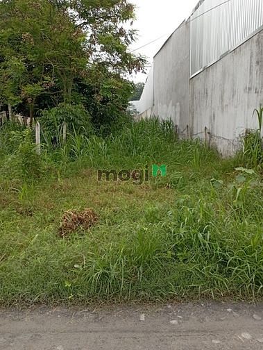 Hình ảnh Đất thổ cư 264m2, Tân Thạnh Đông, Củ Chi, giá 2.5 tỷ TL