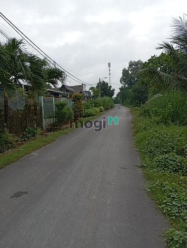 Hình ảnh Đất thổ cư 264m2, Tân Thạnh Đông, Củ Chi, giá 2.5 tỷ TL