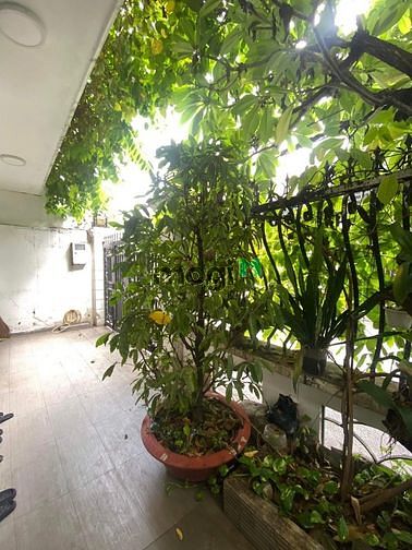 Hình ảnh Bán gấp Biệt thự Phan Đăng Lưu P6 Bình Thạnh, 4 Tầng 106m2