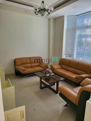 Hình ảnh cho thuê biệt thự cao cấp phú mỹ hưng q7 y hình hcm