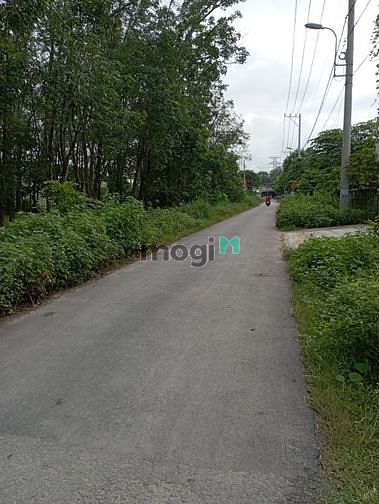 Hình ảnh Đất Thổ Cư Mặt Tiền Đường - Tân Thạnh Đông, Củ Chi