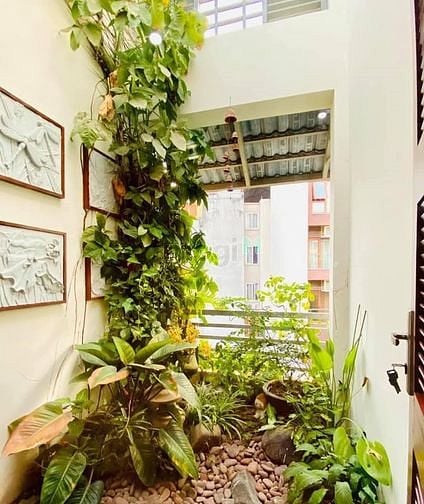 Hình ảnh Biệt thự VẠN BẢO - Phân lô cán bộ - 100m2 - MT 7m - Hơn 24 TỶ